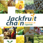 Jackfruit Value Chain_cover
